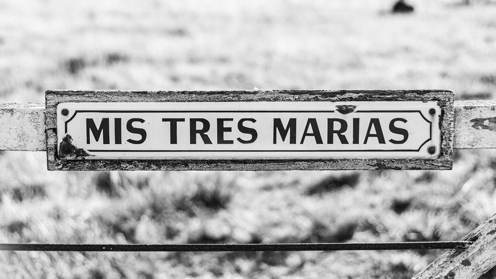 corporate intelligence overview snapshot