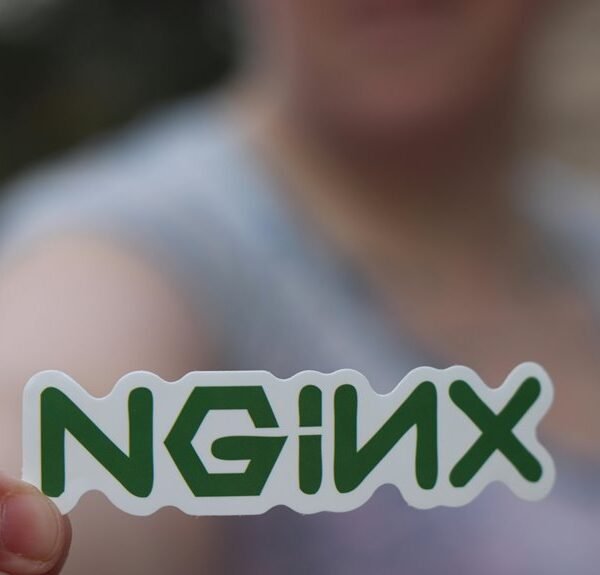 efficiency focused web system