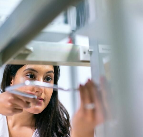 growth focused web system